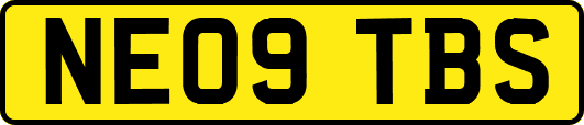 NE09TBS