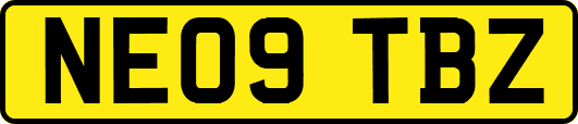 NE09TBZ