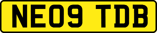 NE09TDB