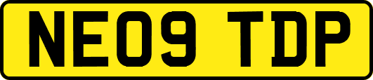 NE09TDP