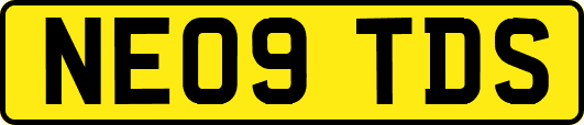 NE09TDS