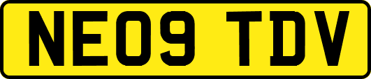 NE09TDV