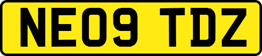 NE09TDZ