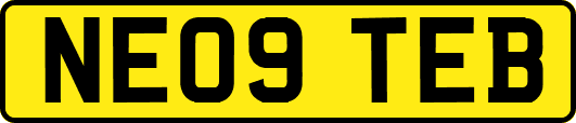 NE09TEB