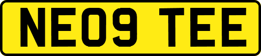 NE09TEE