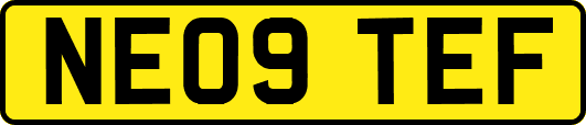 NE09TEF