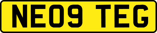 NE09TEG