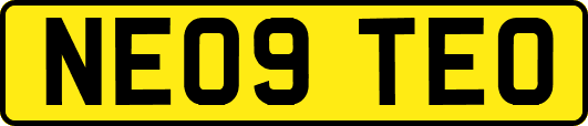 NE09TEO