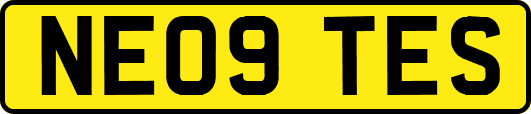 NE09TES