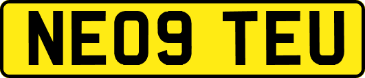 NE09TEU