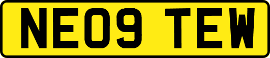 NE09TEW