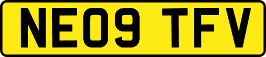 NE09TFV