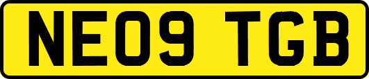 NE09TGB
