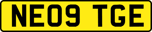 NE09TGE
