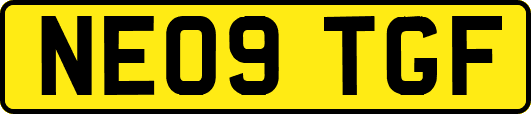 NE09TGF
