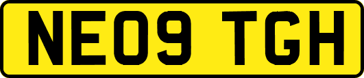 NE09TGH