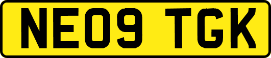 NE09TGK