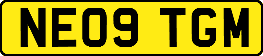 NE09TGM