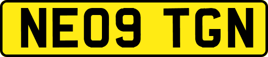 NE09TGN