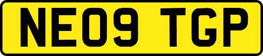 NE09TGP