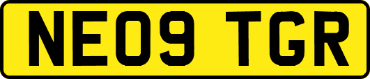 NE09TGR
