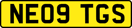 NE09TGS