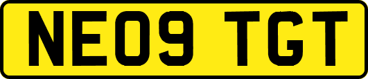 NE09TGT