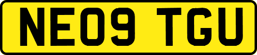 NE09TGU