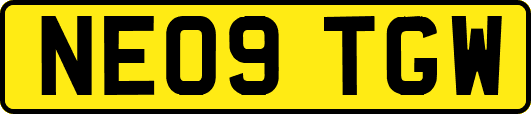 NE09TGW