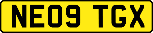 NE09TGX