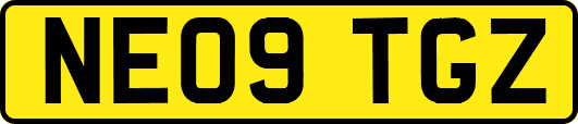NE09TGZ