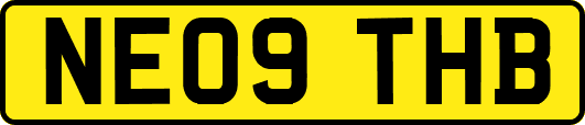 NE09THB