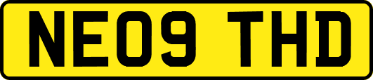 NE09THD
