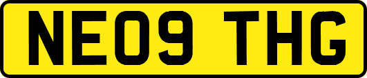NE09THG