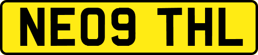 NE09THL