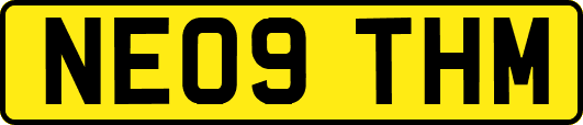 NE09THM