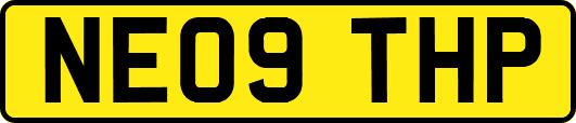 NE09THP