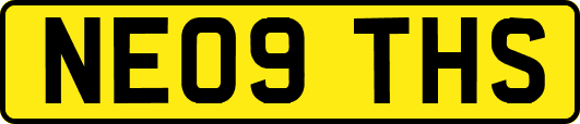 NE09THS
