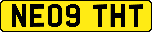 NE09THT