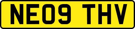 NE09THV