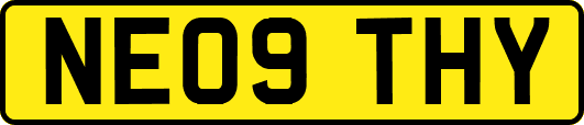 NE09THY