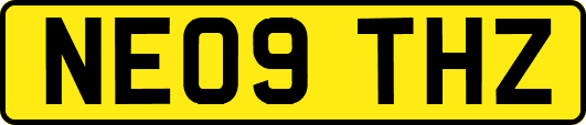NE09THZ