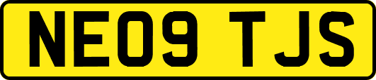 NE09TJS