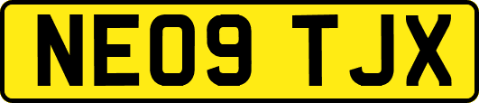 NE09TJX