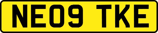 NE09TKE