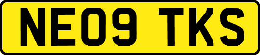 NE09TKS