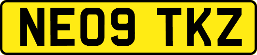 NE09TKZ