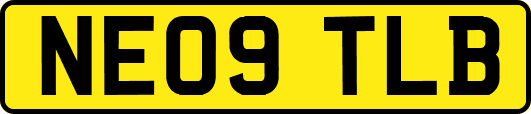 NE09TLB