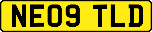 NE09TLD