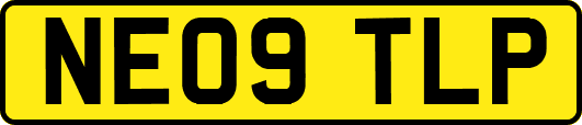 NE09TLP